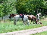 decouvrez le morvan avec nos vidéos