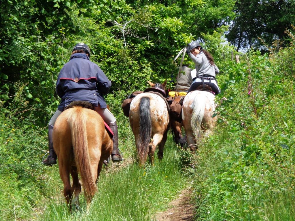 randonnee cheval morvan